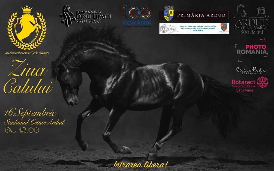 Concurs de frumusețe cabalină în acordurile Filarmonicii ”Dinu Lipatti” Satu Mare, la Ardud