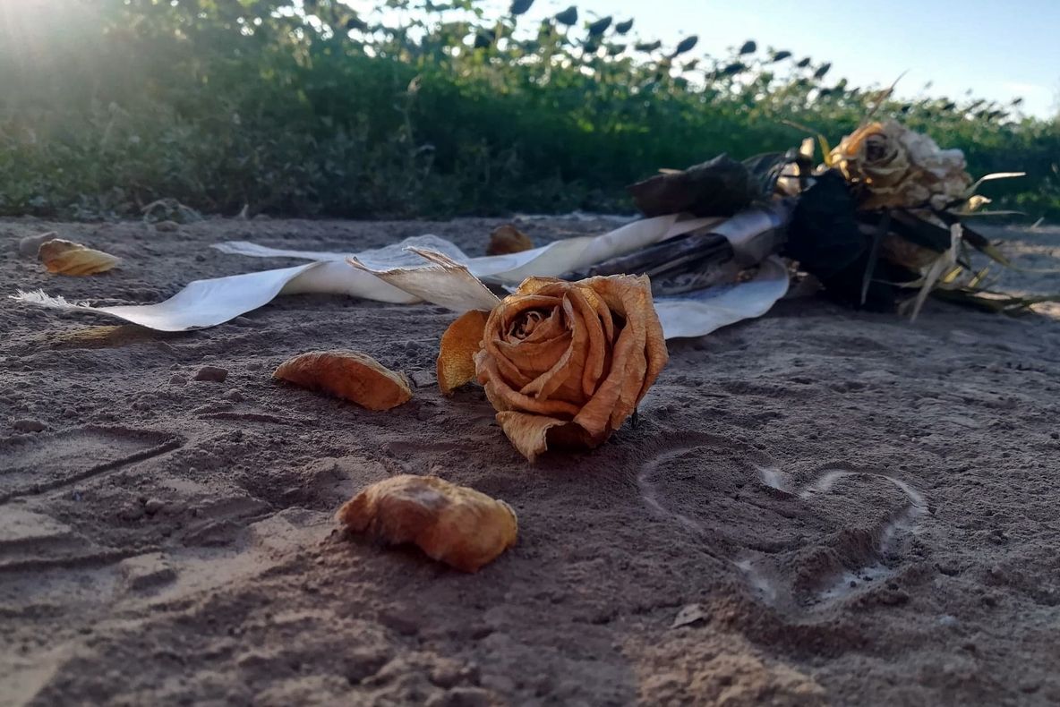 Premii obținute de tinerii talentaţi de la Protecția Copilului Satu Mare la un concurs internaţional de la fotografie