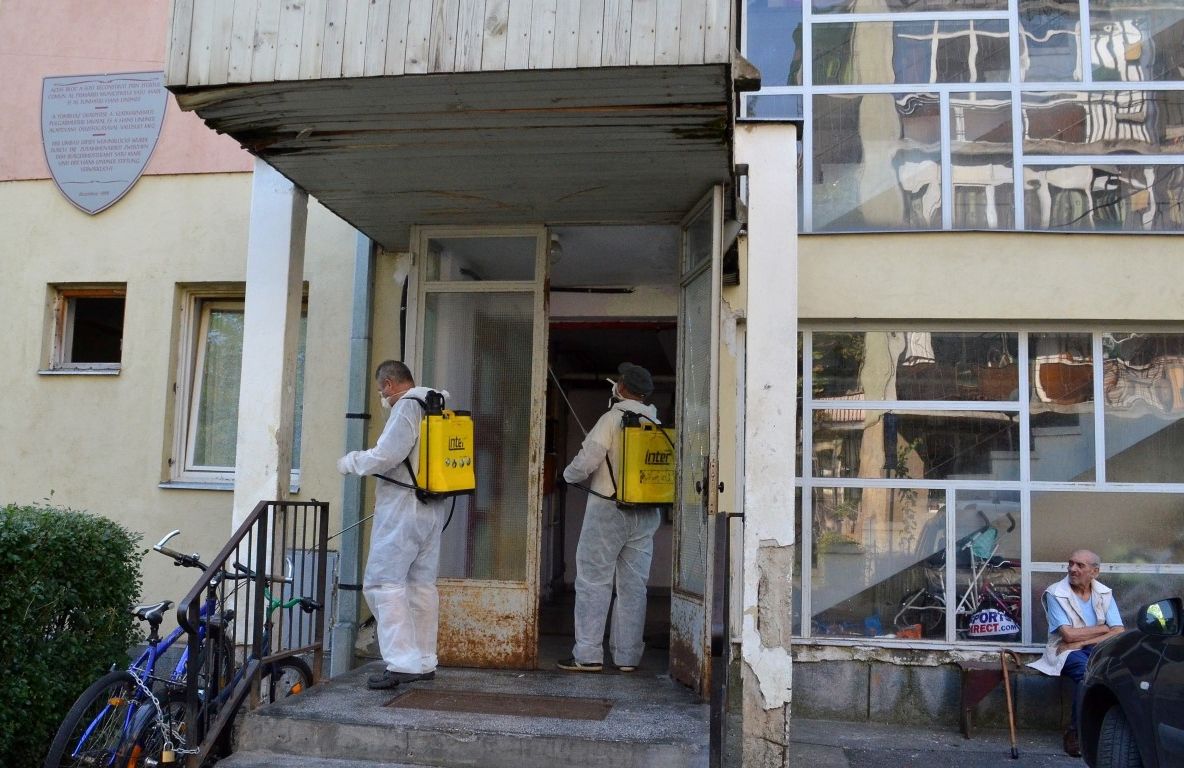 Acțiune de dezinsecție și deratizare în locuințele sociale din Satu Mare