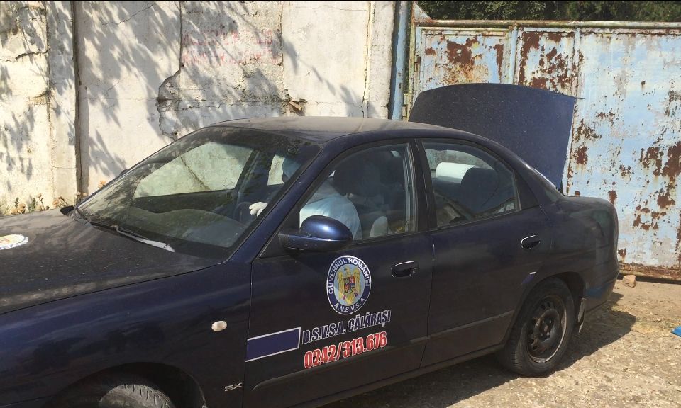 Statistică DSVSA: Șapte focare de pestă porcină africană, active în județul Satu Mare