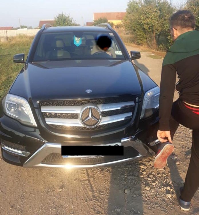 Mai mulți pui de pisică, aruncați la periferia municipiului de un bărbat. Cel care s-a revoltat, la un pas să dea cu fie lovit cu mașina