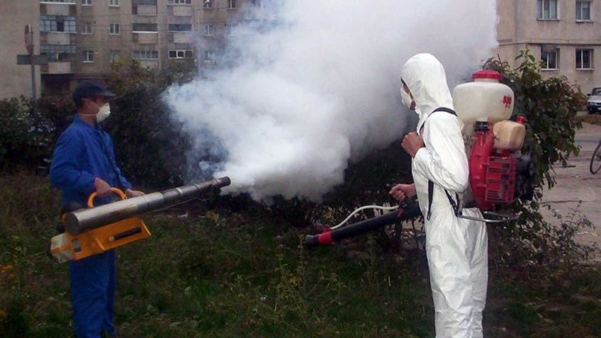 O nouă acțiune de dezinsecție în municipiul Satu Mare