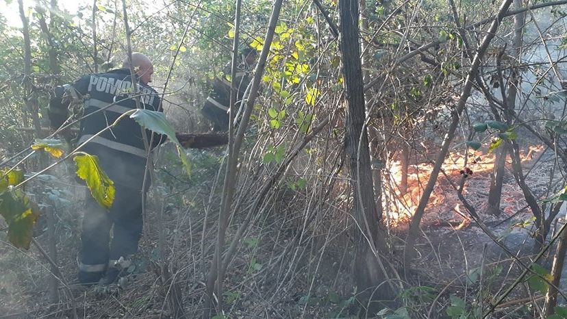 Treisprezece incendii de vegetaţie uscată, într-o săptămână