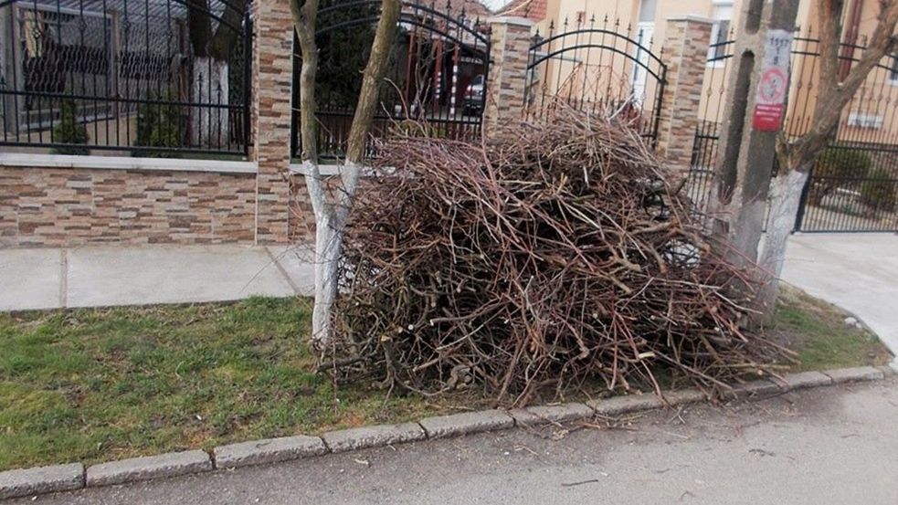 La Satu Mare începe campania de curățenie de toamnă