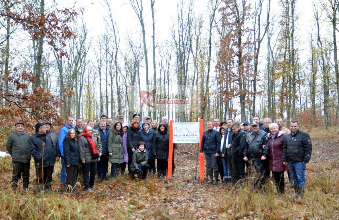 100 de stejari plantați în județul Satu Mare, în cinstea Centenarului Marii Uniri