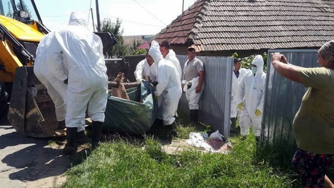 Veterinari sătmăreni sancționați pentru sfidarea autorităților