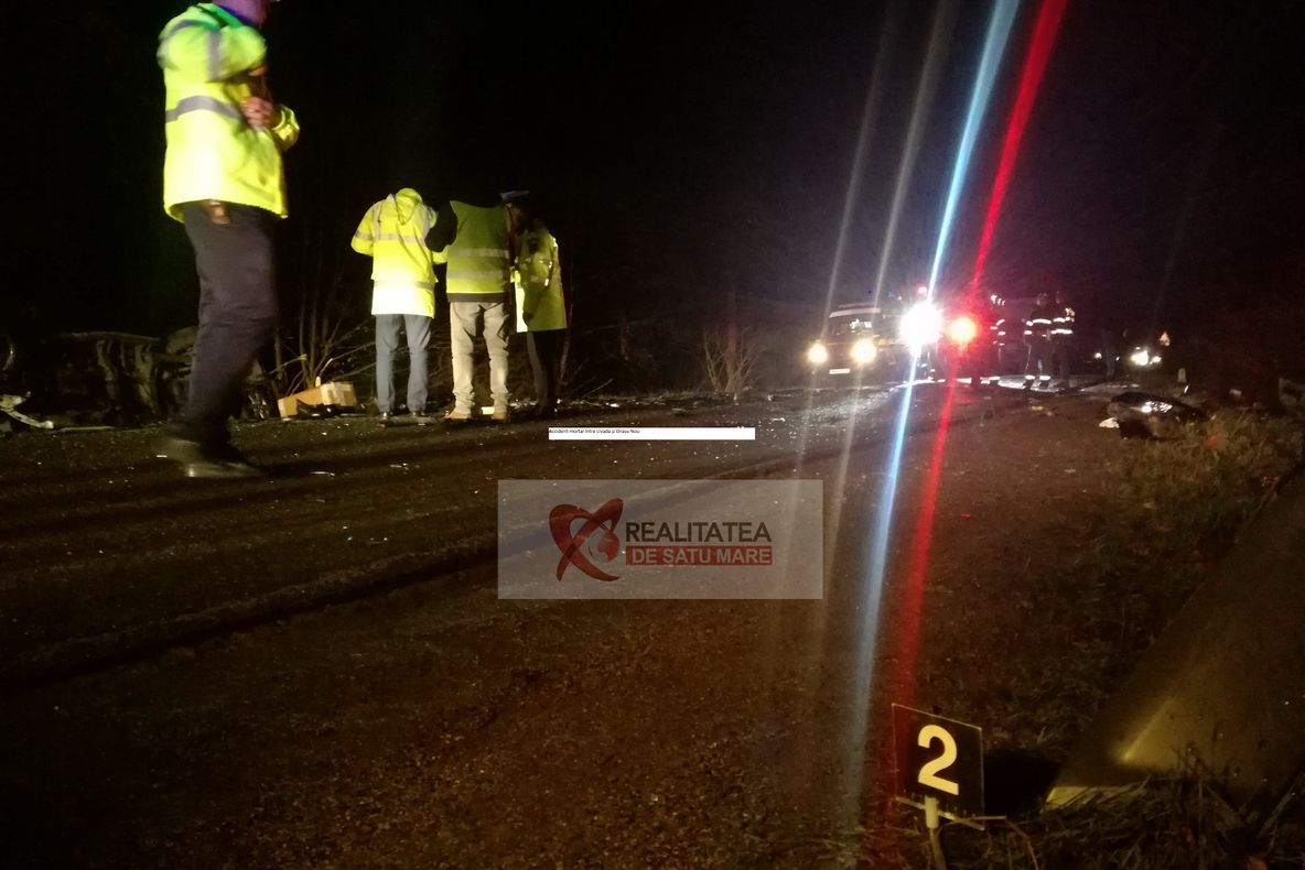 Accident între Livada și Orașu Nou. Doi bărbați și-au pierdut viața