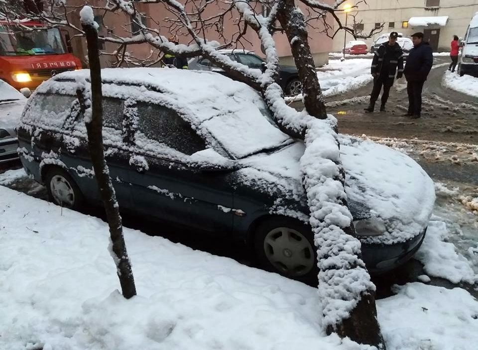 Bilanţul primei ninsori din această iarnă în Satu Mare: copaci prăbuşiţi pe autoturisme