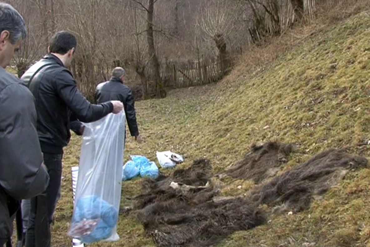 Zeci de persoane cercetate pentru braconaj și sute de kilograme de vânat, confiscate