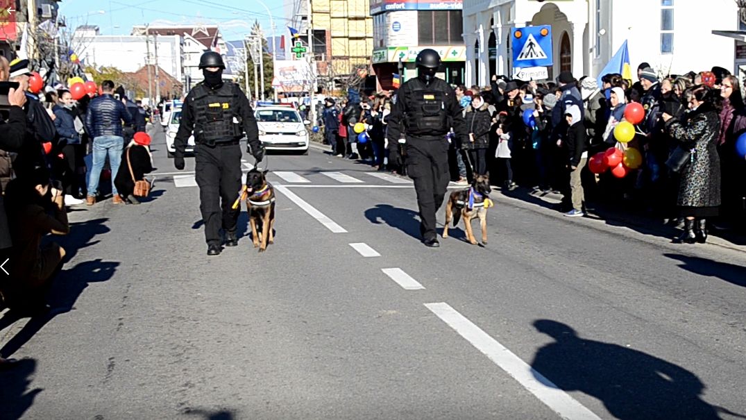 Contrabandistă descoperită cu ajutorul câinelui poliţist