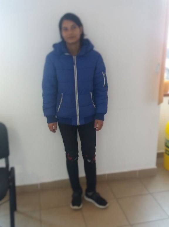 Poliția Locală Satu Mare: O hoață acționează pe străzile din Satu Mare