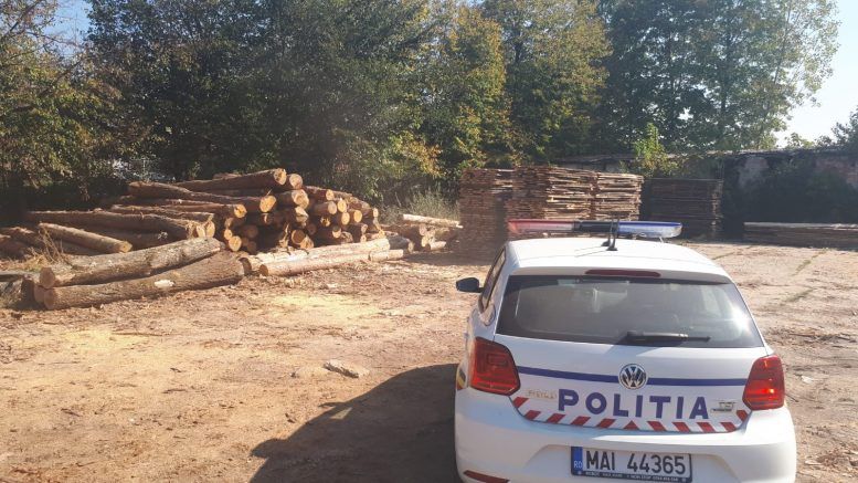 Polițiștii au confiscat peste 240 mc de material lemnos și au aplicat amenzi de peste 6.000 lei