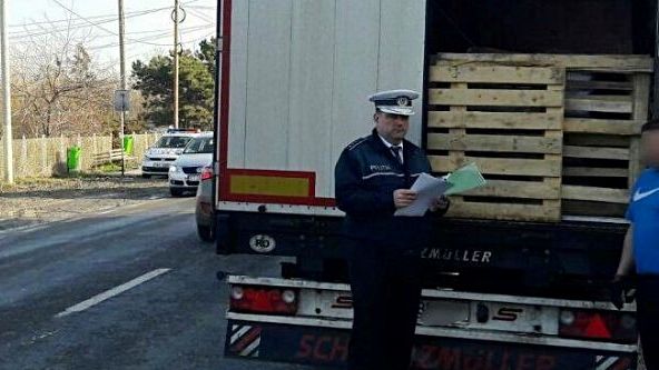 TIR cu sute de porci oprit de polițiști