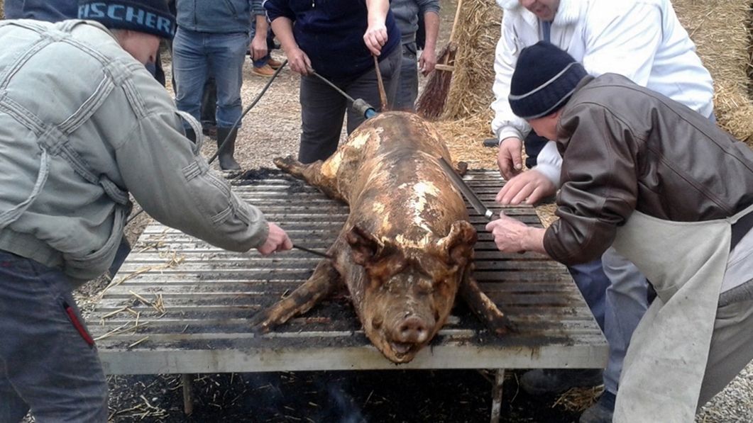 Concurs de tăiat porci, la Foieni