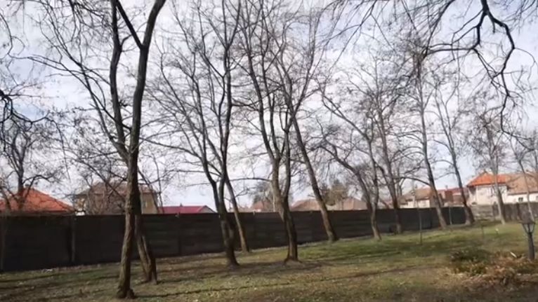 Tunel de flori și patinoar mobil în parcul din Carei