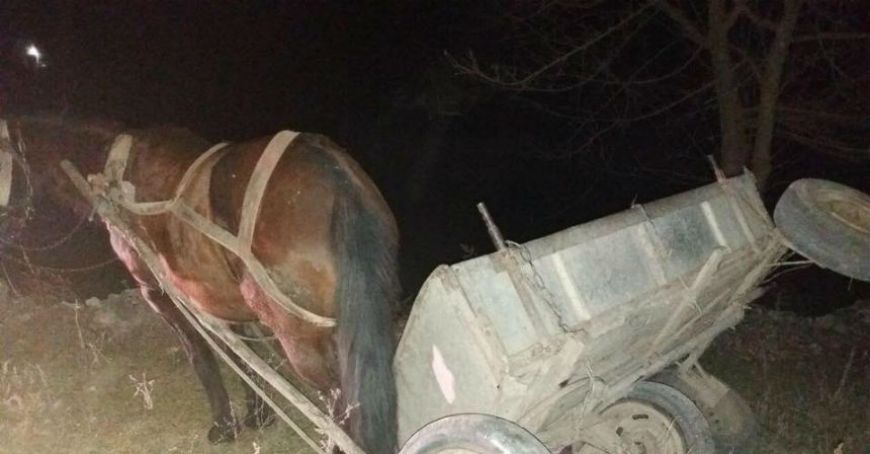 Un căruțaş din Tarna Mare şi-a pierdut viața