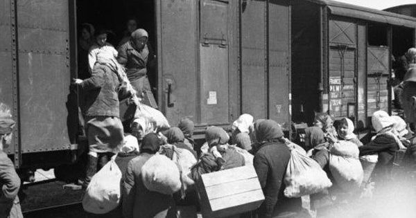 Expoziție | Vagonul de deportare, expus la Gara din Satu Mare