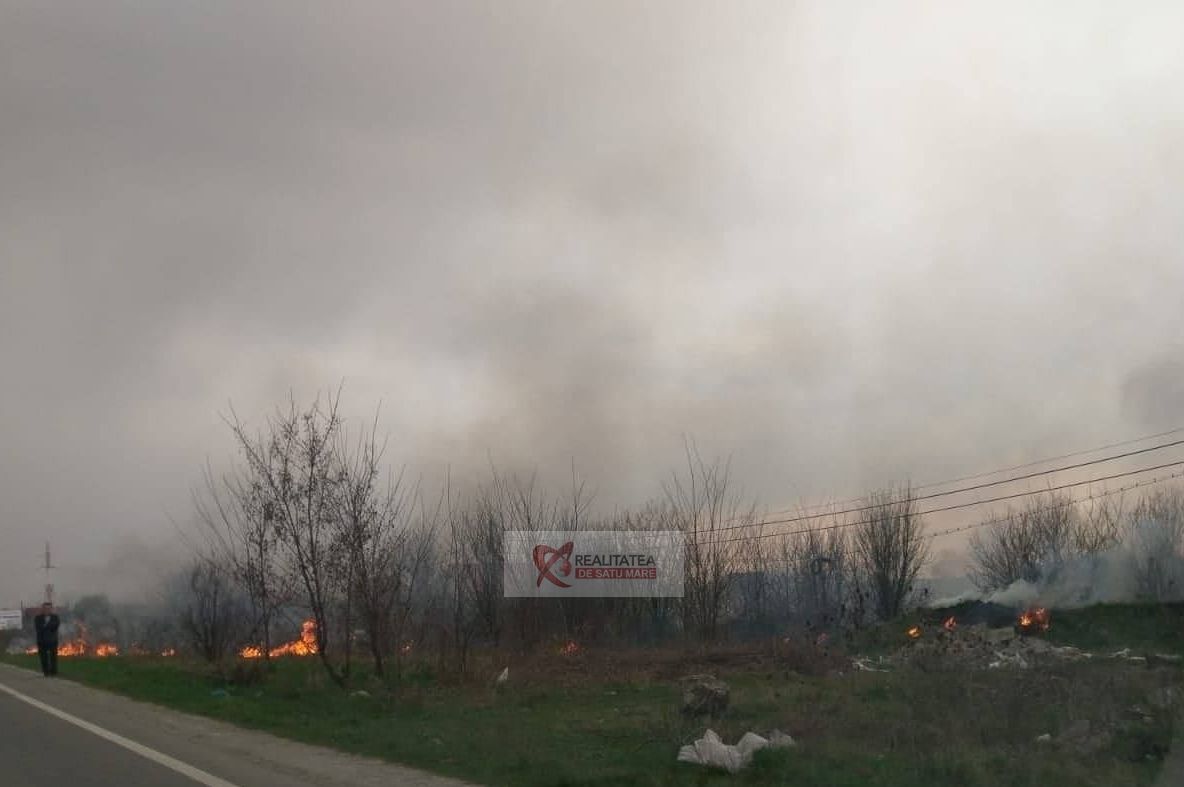 Incendiu de vegetație uscată la ieșire din municipiul Satu Mare