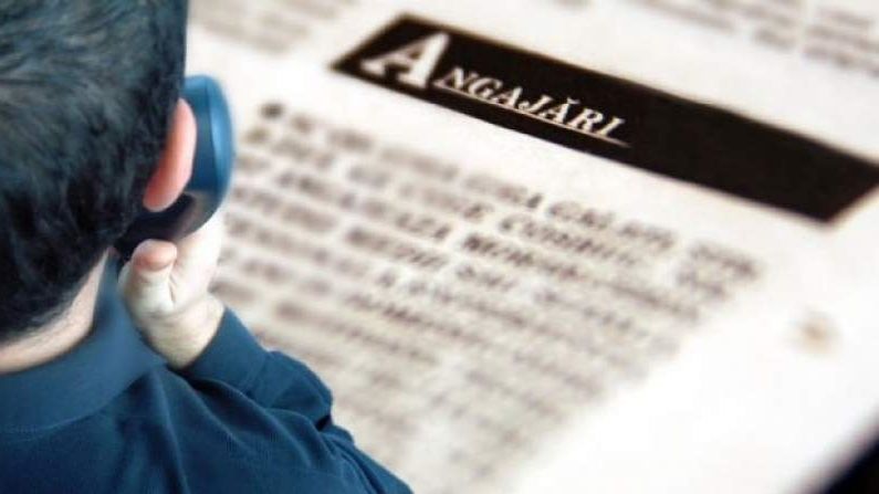 Peste 340 locuri de muncă vacante în Satu Mare