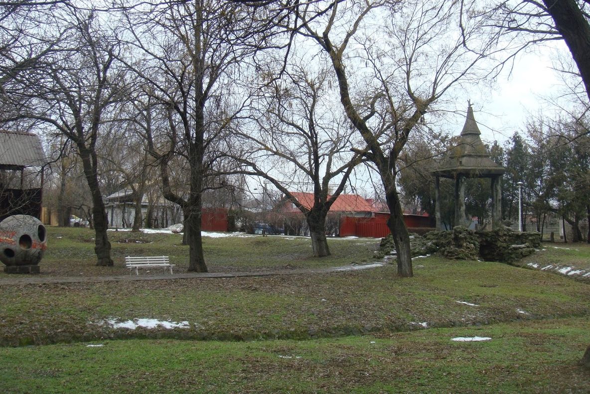 Femeie surprinsă în timp ce își face nevoile în Parcul Central