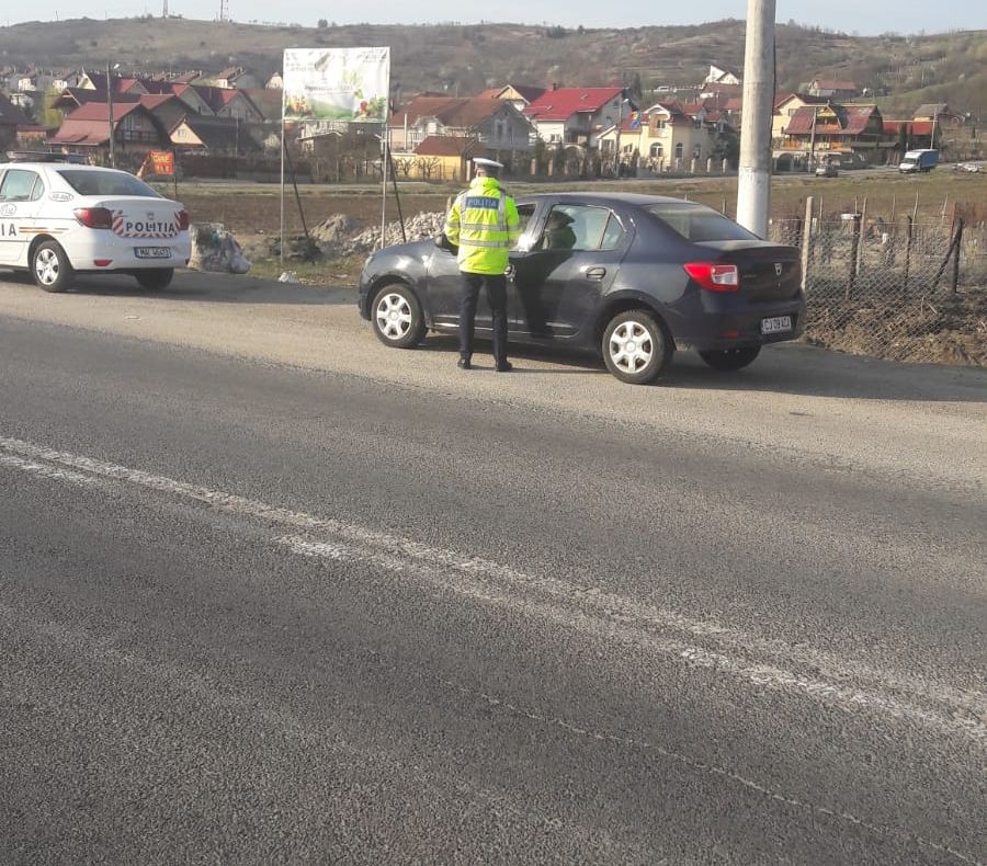 Șocant | Pisicile și câinii adoptați ajung, în unele cazuri, hrană vie pentru proprietarii de șerpi