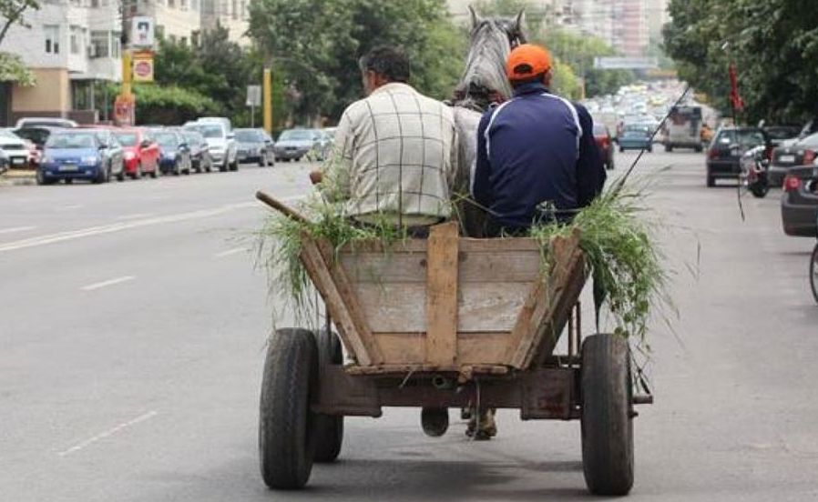 Cinci căruțași au fost amendați de Poliția Locală