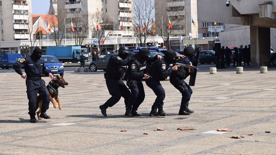 Împuşcături, exerciţii şi demonstraţii cu câinii de serviciu, de Ziua Jandarmeriei