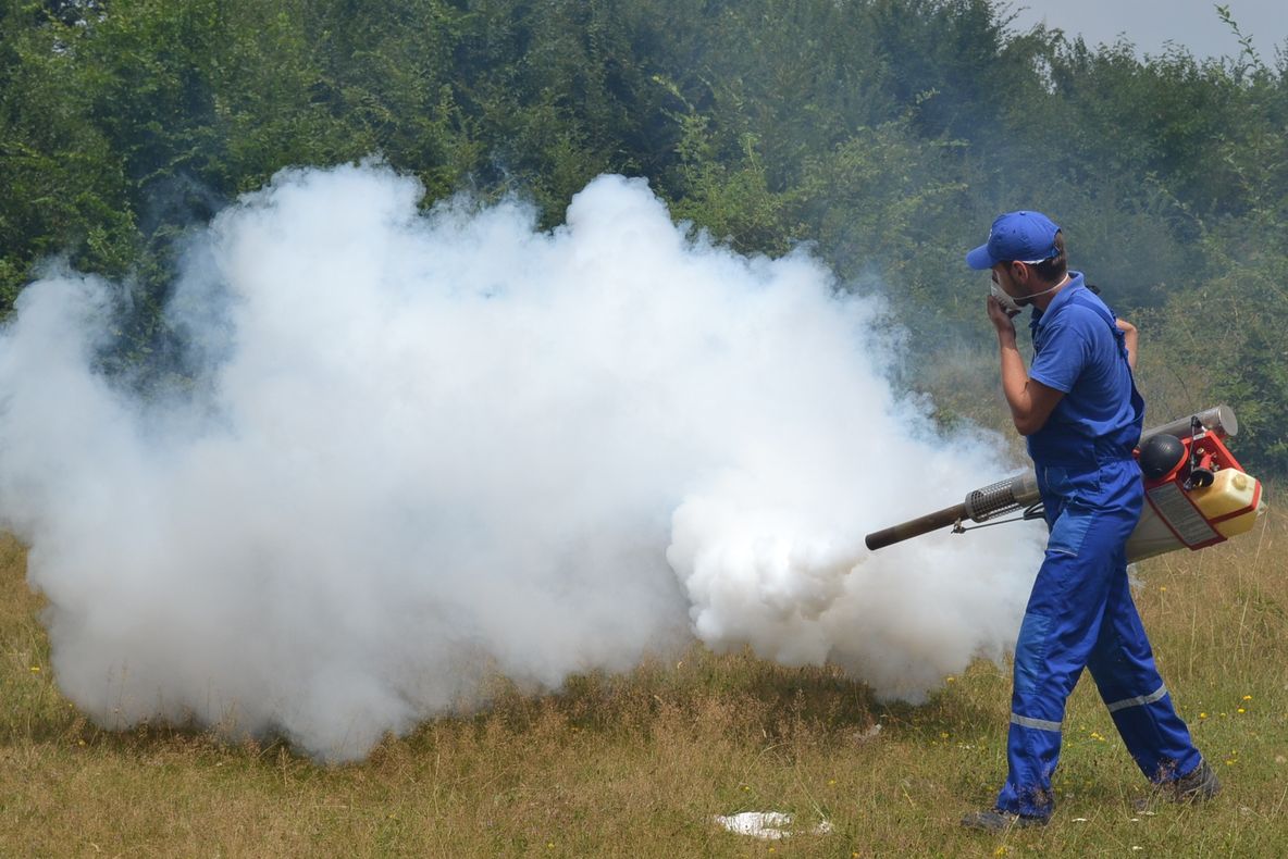 Acțiune de dezinsecție contra căpușelor, în Vetiș