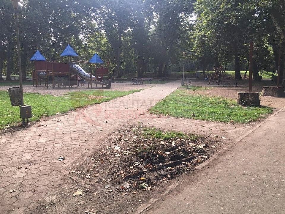 Investiții de peste 3 milioane de lei în Grădina Romei