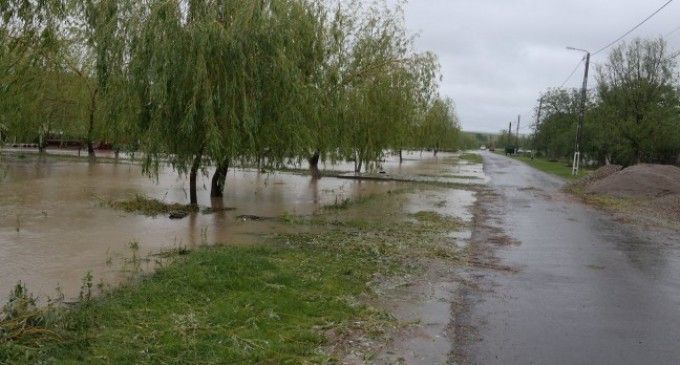 Cod galben de inundaţii pe mai multe râuri din judeţul Satu Mare
