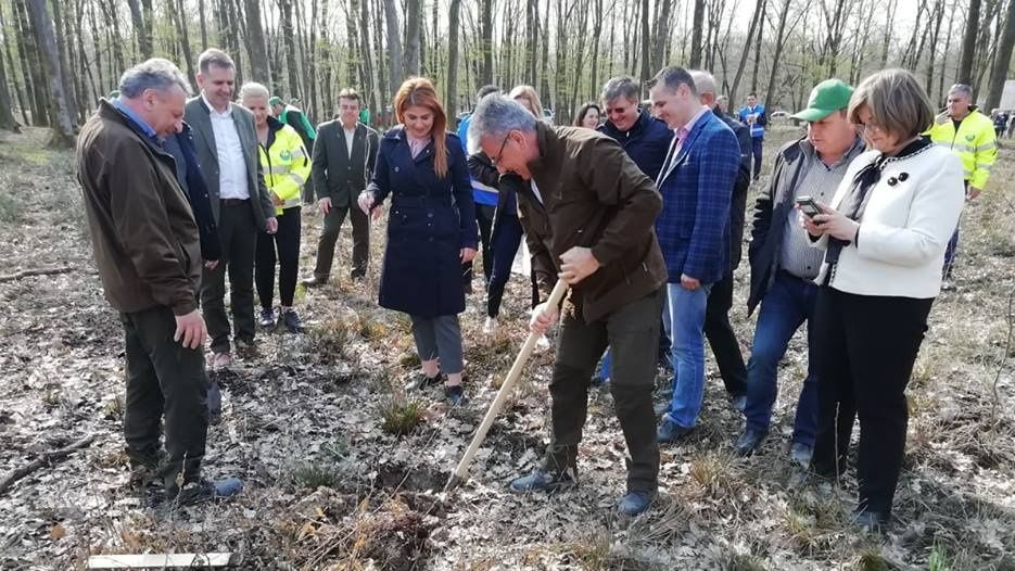 Ministrul Apelor şi Pădurilor, Ioan Deneş, a plantat puieți de stejar în pădurea Mujdeni