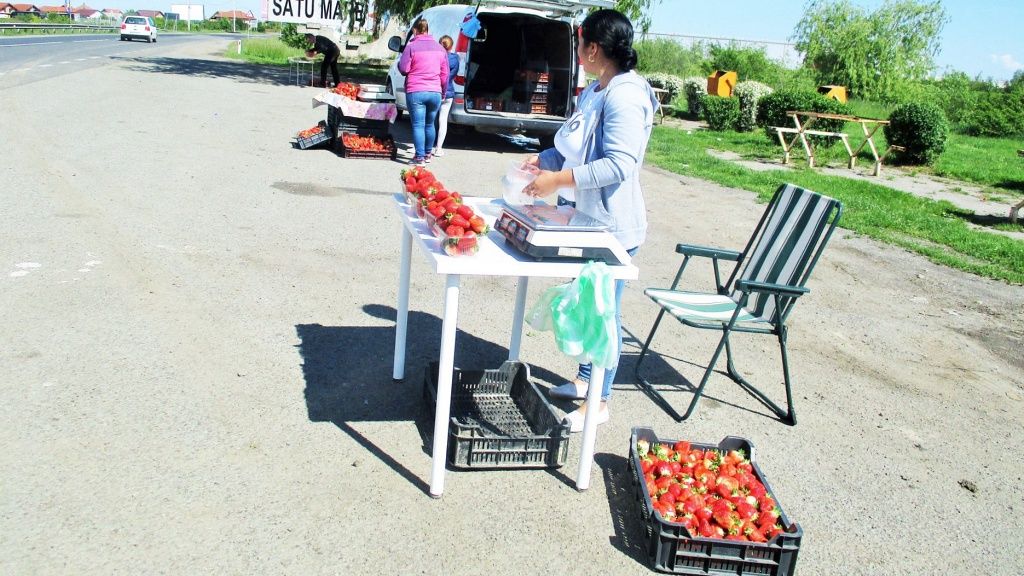 Poliția Locală a amendat comercianții de căpșuni din Stâna