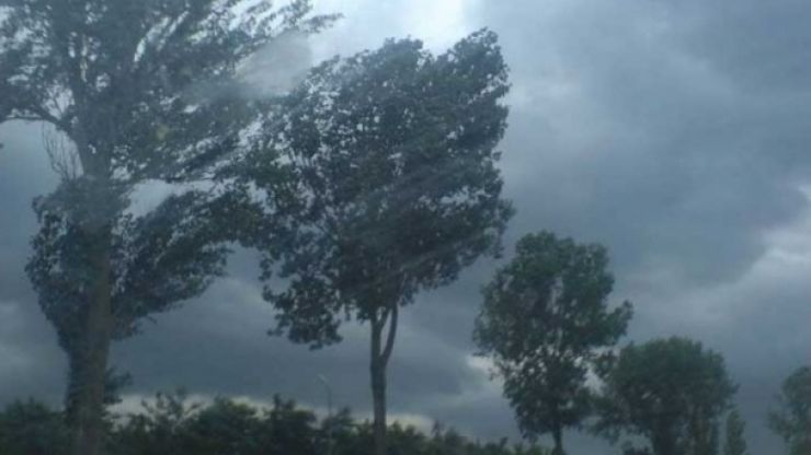 Cod galben de vreme severă imediată în județul Satu Mare