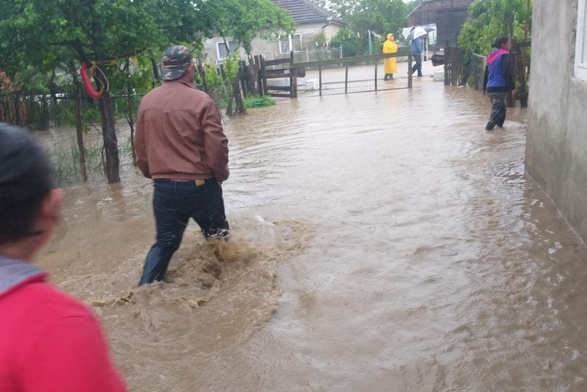 Ploile au inundat mai multe gospodării și au blocat un drum din județul Satu Mare