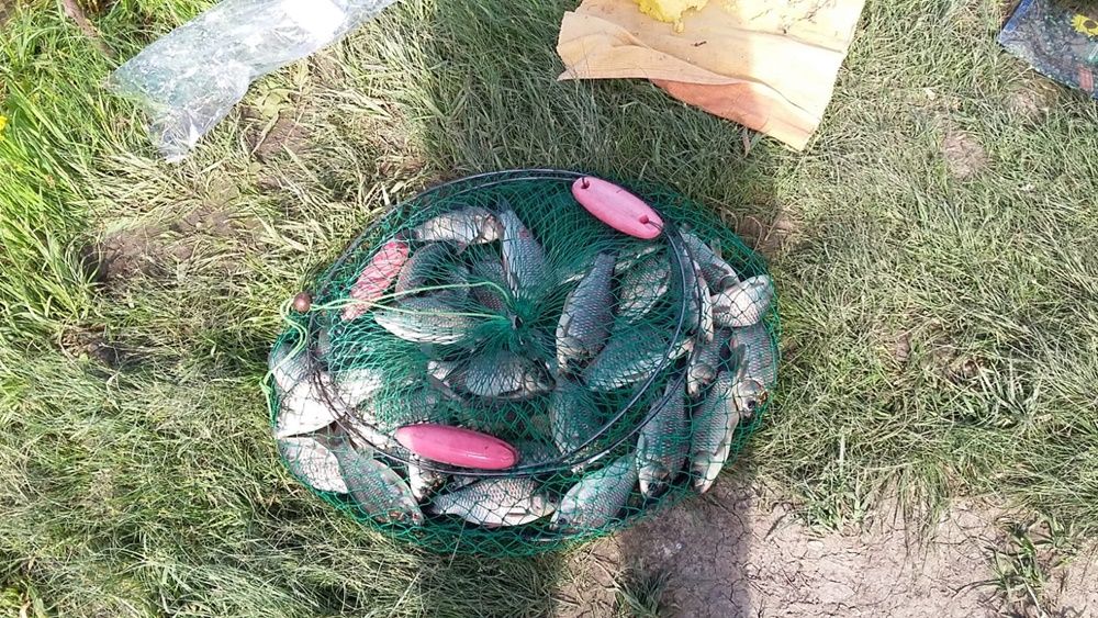 Trei braconieri prinși de jandarmi pe râul Crasna