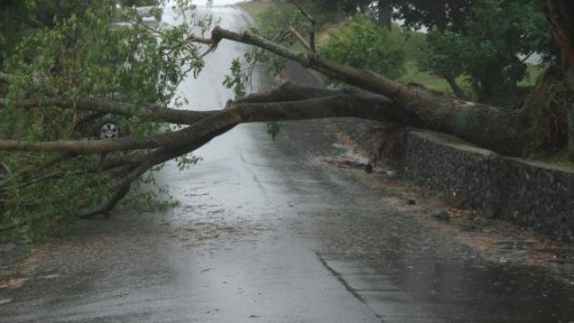 Acoperișuri luate de vânt și copaci doborâți în județul Satu Mare