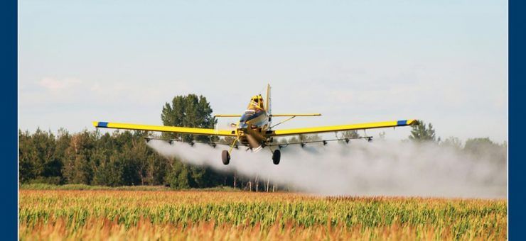 Acţiunea de dezinsecţie împotriva ţânţarilor, la Satu Mare