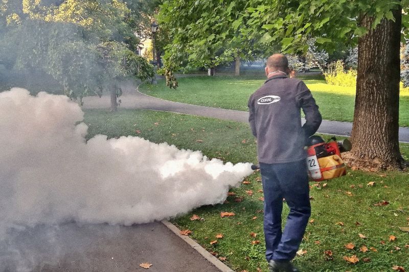 Maine începe dezinsectia anti-țânțari, în Satu Mare