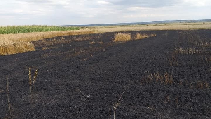 Lan de grâu incendiat în județul Satu Mare