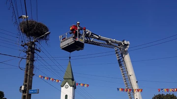 Intervenție inedită. Pompierii sătmăreni au salvat un pui de barză