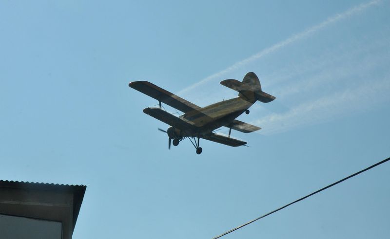 Un nou record de trafic la Aeroportul Satu Mare: aproape 10.000 de pasageri în luna iulie