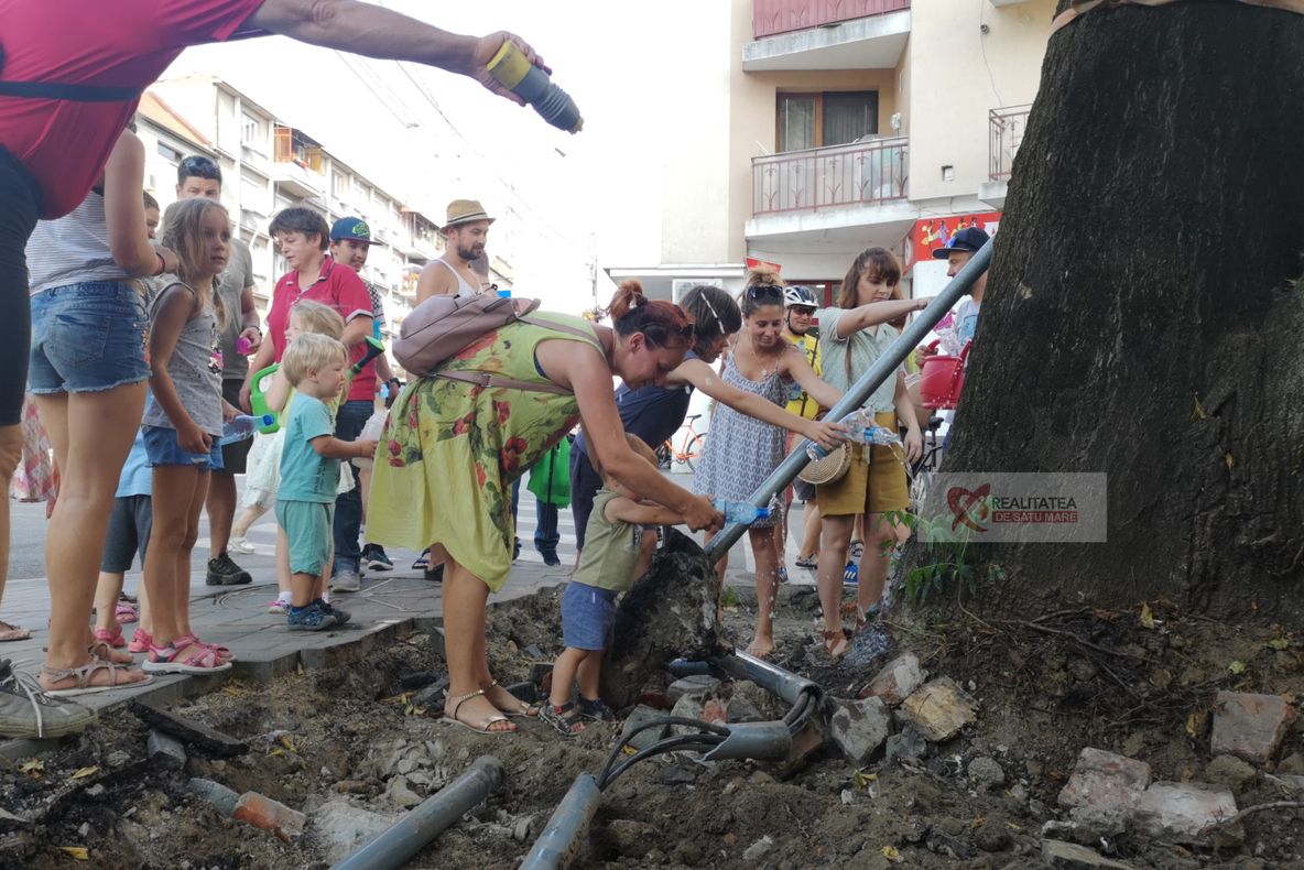 Flashmob |  Sătmărenii au udat copacul salvat de pe Brătianu