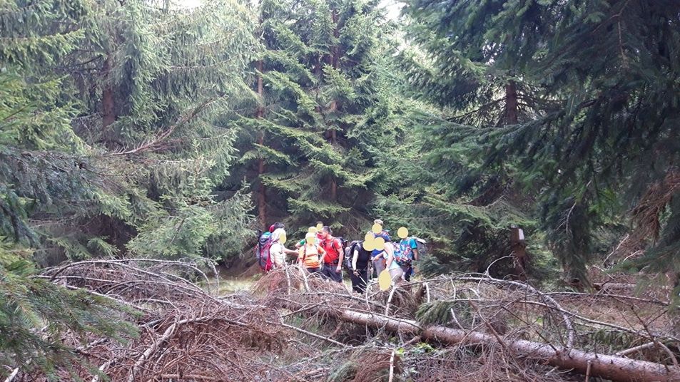 Turişti rătăciţi în munţi, printre care și copii, recuperați de salvamontiștii sătmăreni