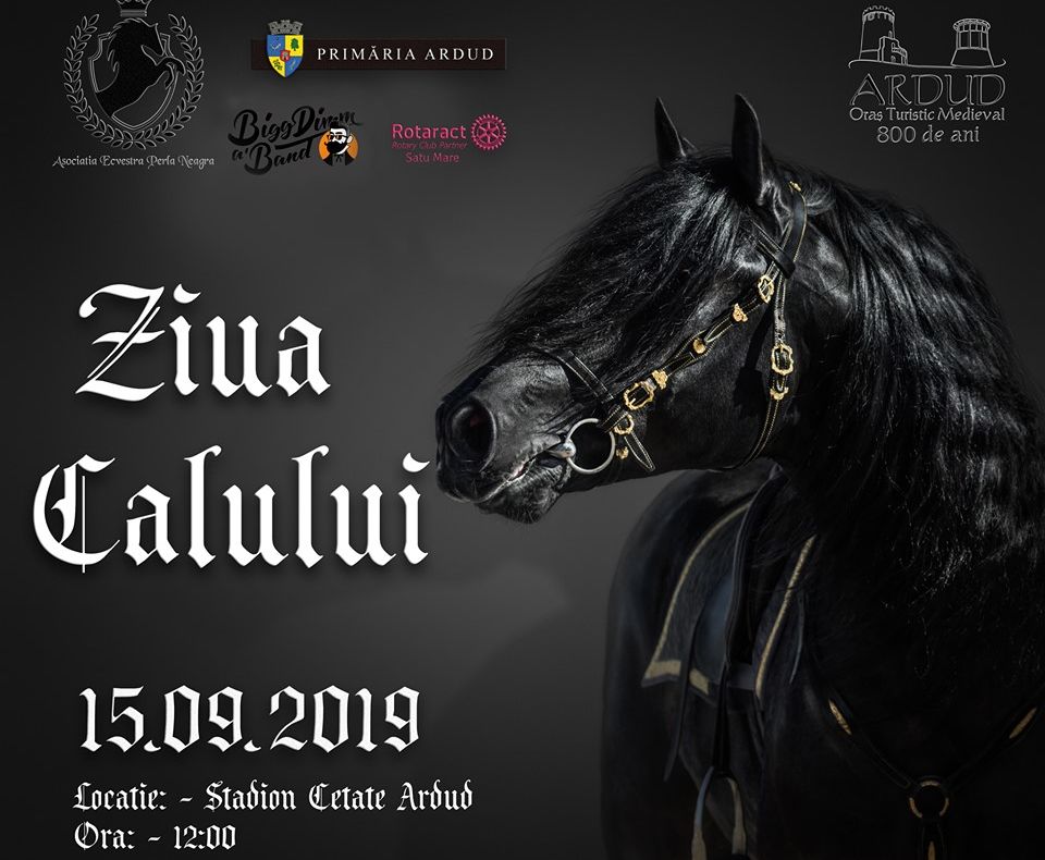 ”Ziua Calului”, sărbătorită la Ardud