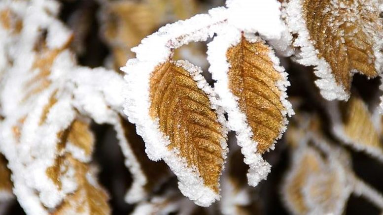 Alertă meteo! Un val de aer polar lovește România