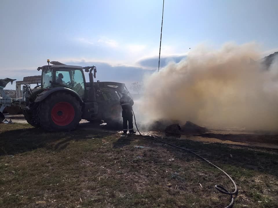 Incendiu la un adăpost de animale din județ. 150 de miei au ars de vii