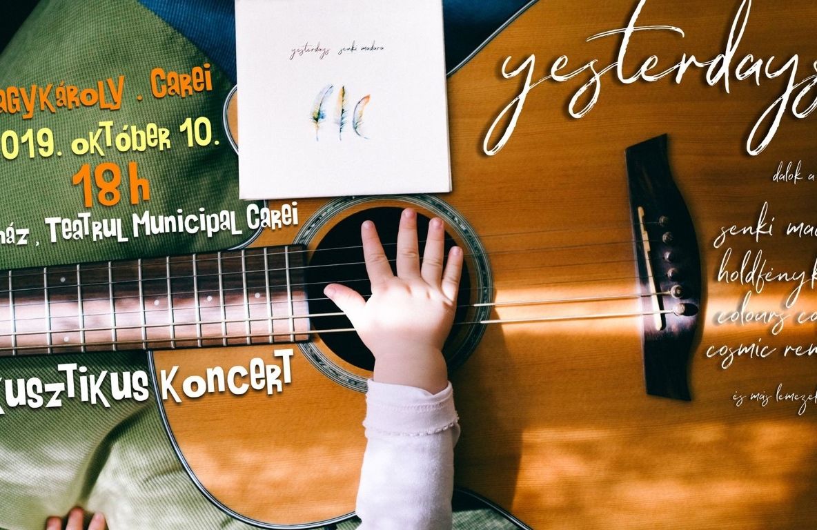 Concert acustic la Teatrul Municipal Carei