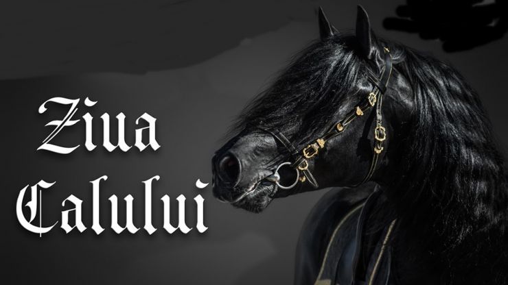 ”Ziua Calului”, în weekend, la Ardud. Un ponei, marele premiu al tombolei