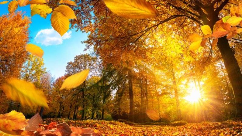 Vreme caldă, cu temperaturi de până la 21 de grade în județul Satu Mare