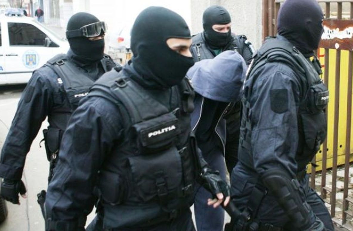 Percheziții la traficanți de etnobotanice din Satu Mare și Carei